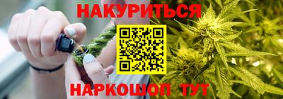дмт Гатчина
