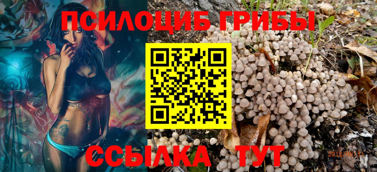 Галлюциногенные грибы Psilocybe  Вход с VPN  Новотроицк 